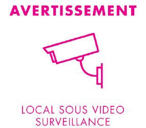 CCTV 2020 DECAL - FRANCE