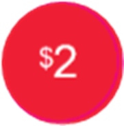 Load image into Gallery viewer, USA SALE STICKERS