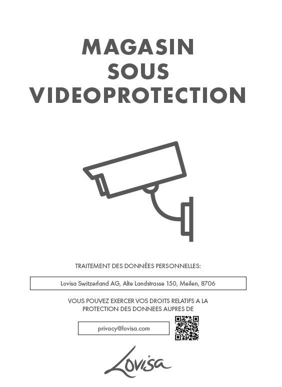 CCTV DECAL - SWISS FRENCH
