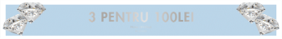 ADD ON PRISM CRYSTALS-STRIP-ROMANIAN