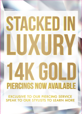 PIERCING STUDIO 14K GOLD EXPANSIONS - A2 ENTRY STAND